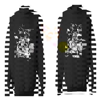 Jack Russell Terrier Chasing A Ball Jrt Jack Russell Owner Sweatshirt | Seseable UK