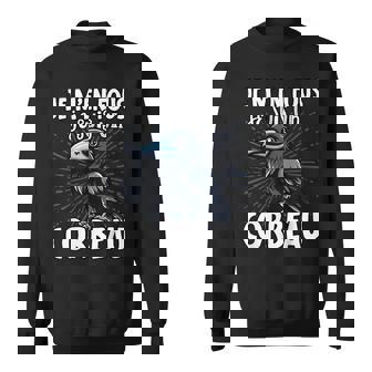 Je M'en Fous Je Paris Un Corbeau Corbeau Mignon Sweater e - Cadeauxyz