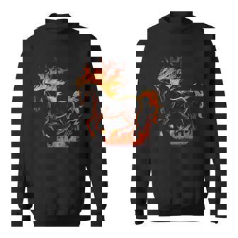 Joli Costume De Licorne Feu Et Flammes Manche Longue Sweater e - Cadeauxyz