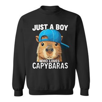 Just A Boy Who Loves Capybaras Sweatshirt - Thegiftio UK