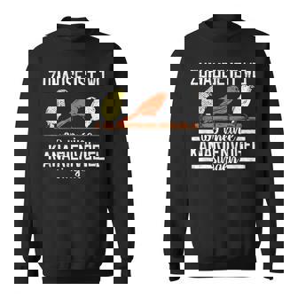 Kanarien Zuhause Ist Wo Meine Kanarienvögelingen Ziervögel Sweatshirt - Seseable