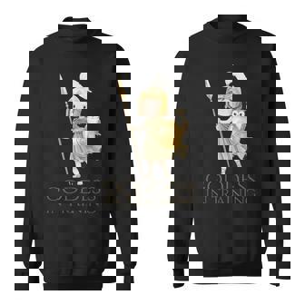 Lindo Griego Antiguo Diosa En Entrenamiento Mitología Atenea Camisa de entrenamiento - Regaloses