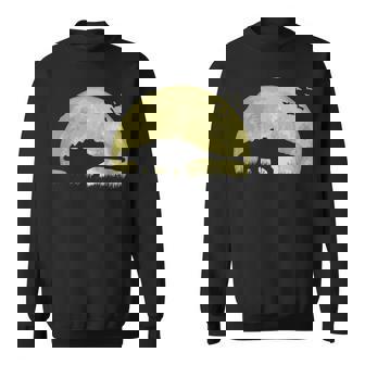 Lune Ankylosaure Dinosaureeilleuse Sweater e - Cadeauxyz