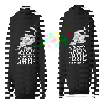 Maestrasaurus Insegnantepagnolo Divertente Dinosauro Torna Acuola Felpa - Novitaregali