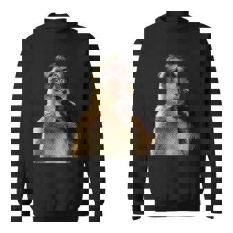 Monkey Y2k Thinking Monkey Meme Brainrot Sweatshirt | Seseable UK