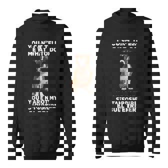 No Puedes Decirme Qué Hacertaffordshire Bull Terrier Camisa de entrenamiento - Regaloses