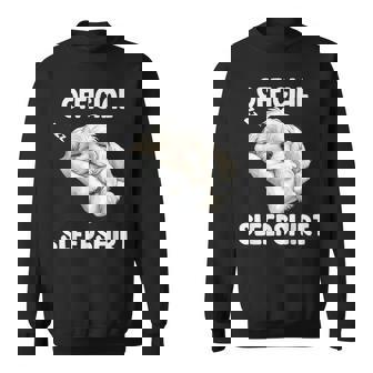 Official Maltese Sleep Cute Dog Lover Pajama Sleepwear Sweatshirt - Thegiftio