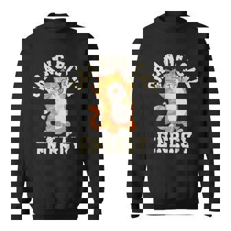 Orange Tabby Cat Orange Cat Energy Sweatshirt | Mazezy