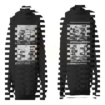 Party Raccoon Dj Sweatshirt | Mazezy