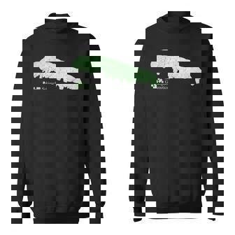 Sekiguchi Genetics – Nerdy Dna Science Joke For Lab Geeks Sweatshirt - Thegiftio