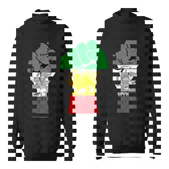 Shir O Khorshid Lion And Sun Iran Persia Sweatshirt - Monsterry