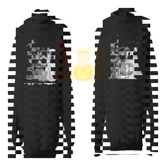 Spooky Ghost Blue Heeler Pumpkin Halloween Dog Lover Sweatshirt - Monsterry