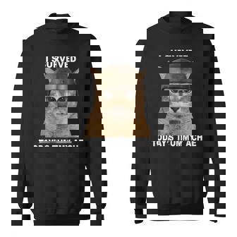 I Survived Today's Tummy Ache Cat Sweatshirt | Seseable CA