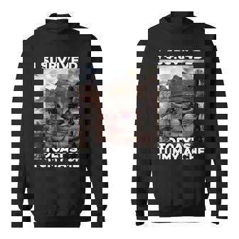 I Survived Today's Tummy Ache Meme Sweatshirt | Mazezy