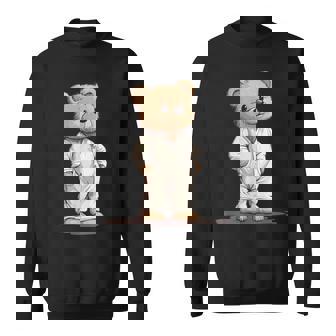 Sweet Dreams Teddy Bear With Pajamas Sweatshirt | Mazezy