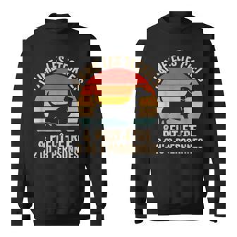 Teckel Chien J'aime Les Teckels Et 2 Ou 3 Personnes Sweater e - Cadeauxyz