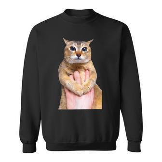 Tole Tole Cat Small Black Sweatshirt - Thegiftio UK