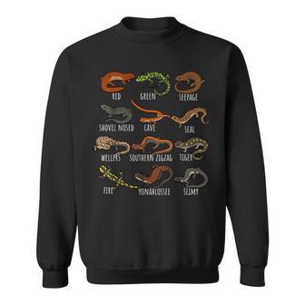 Type Of Salamander Lizards Lovers Cute Colorful Salamanders Sweatshirt - Thegiftio UK