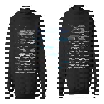 Types De Requins Identification Des Requins Espèces De Requins Sweater e - Cadeauxyz