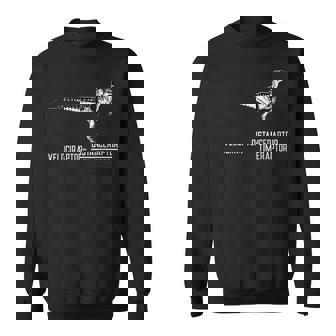 Velociraptor Distanceraptor Timeraptor Physics Felpa - Novitaregali