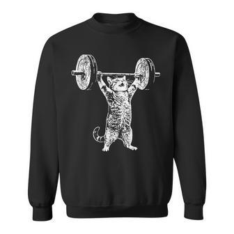 Vintage Retro Weight Lifting Gym Cat Deadlift Sweatshirt | Mazezy
