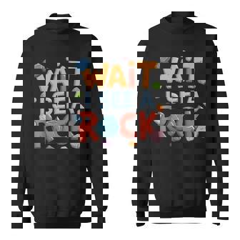 Wait I See A Rock Retro Geology Rockhounding Mineralogy Sweatshirt | Mazezy