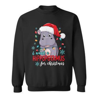I Want A Hippopotamus For Christmas Christmas Sweatshirt | Seseable UK
