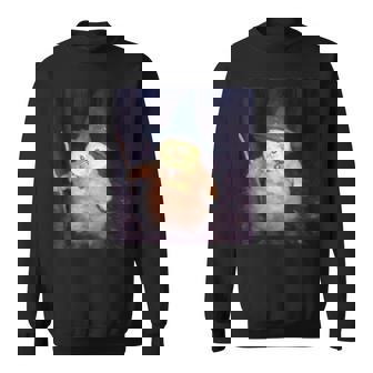 Wizard Cat Meme Vintage Halloween Sweatshirt | Mazezy