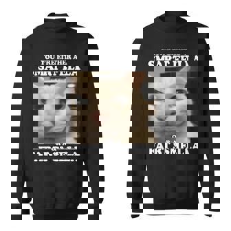 You're Either A Smart Fella Or A Fart Smella Cat Meme Sweatshirt | Seseable FR