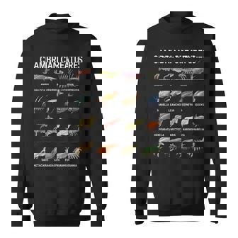 カンブリア紀の生き物チャート–先史時代の海洋生物アート スウェットシャツ - Kawaiitshirt