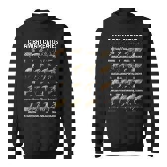 カンブリア紀の生き物チャート先史時代の生活古生物学 スウェットシャツ - Kawaiitshirt