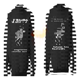 パタゴニア・マラ 長袖tシャツ スウェットシャツ - Kawaiitshirt