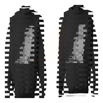 ブリティッシュショートヘアの猫 長袖tシャツ スウェットシャツ - Kawaiitshirt