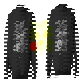 ヴィンテージ ボタニカル グアバ 自然 フルーツ アートプリント スウェットシャツ - Kawaiitshirt