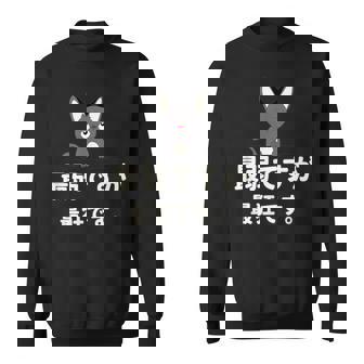 面白い 猫 文字入り 「最弱ですが最狂です。」おもしろギャグ-ジョーク 漢字 最弱ですが最狂です。 スウェットシャツ - Kawaiitshirt