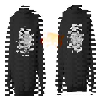 面白いtシャツ レッサーパンダ メンズ 動物 グッズ かわいい 面白い 服 ネタ スウェットシャツ - Kawaiitshirt