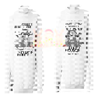 Christmas All Of The Otter Reindeer Sweatshirt | Seseable UK