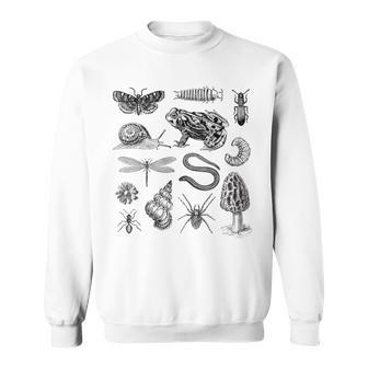 Grenouille Champignon Escargot Insecteintage Biologie Amoureux De La Nature Sweater e - Cadeauxyz