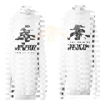 Nope Not Today Chocolate Lab Lazy Dog Quote Sweatshirt | Seseable FR