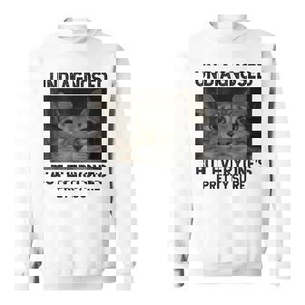 Undiagnosed But Everyone's Pretty Sure Silly Cat Meme Sweatshirt - Monsterry
