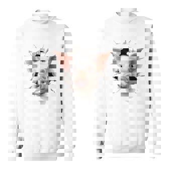 豚 アニマル柄 グラフィック 図面 イラスト 顔 豚 スウェットシャツ - Kawaiitshirt