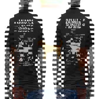 Anatomy Of A Labrador Retriever Lab Dog Lover Men's T-shirt Back Print - Monsterry