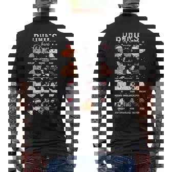 Lapin De Noël Mignon Lapin Kawaii 2026 T-shirt imprimé au dos - Cadeauxyz