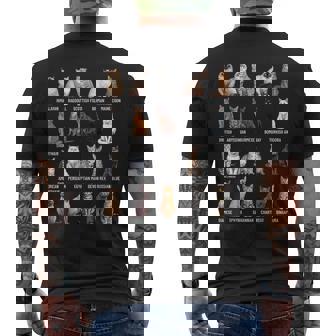 Types Of Cats Educational Cat Breeds Chart Guide Men's T-shirt Back Print - Monsterry