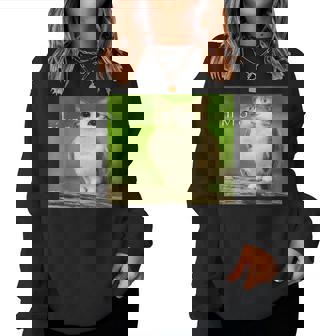 Cat Owl Cursed Hello Bro Brainrot Meowl Hi Vro Meme Women Sweatshirt | Seseable FR