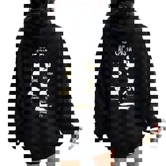 Types Of Cat Pasta Cute Kawaii Cat Lover Women Women Oversized Hoodie Back Print | Seseable UK