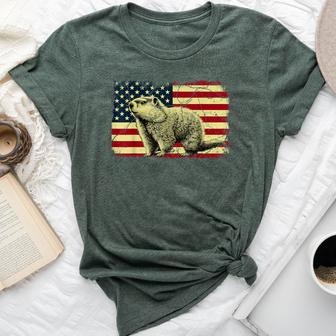 Punxsy Phil American Flag Groundhog Day For Women Bella Canvas T-shirt - Thegiftio