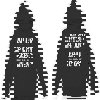 I Ain't Gay But I Ain't Exactly Not Gay Lgbt Pride On Back Hoodie | Mazezy