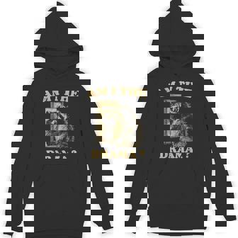 Am I The Drama Raccoon Unhinged Meme 陽気なアライグマのミーム パーカー - Kawaiitshirt