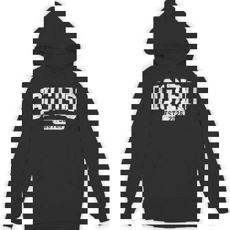 Big Bro Est 2026 Promoted To Big Bro Announcement Hoodie | Seseable CA